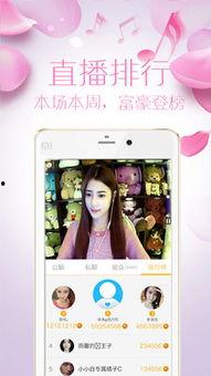 成人暗语直播APP,隐秘世界的真实面纱