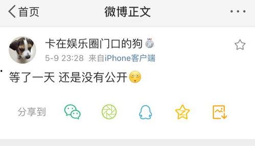 吃瓜爆料组,吃瓜爆料组带你直击明星幕后真相