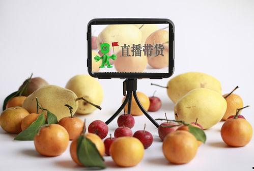 91p直播,揭秘热门直播平台的魅力与挑战