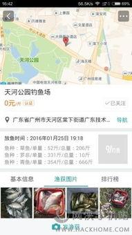 91钓鱼直播下载,畅享钓鱼乐趣，尽在指尖一触