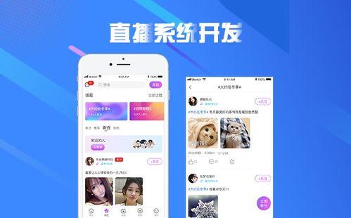 直播看片app源码,揭秘功能架构与实现细节