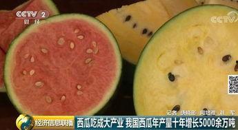 吃瓜吃大瓜网,带你领略网络吃瓜文化的魅力