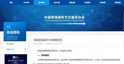 短视频平台,捕捉瞬间的潮流与故事