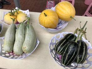 郑州今日吃瓜,吃瓜群众聚焦热点事件