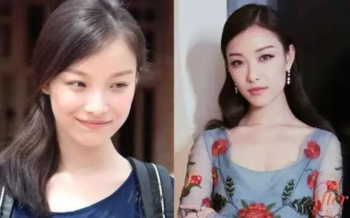 网红与明星的差距,数字时代的身份差异解析