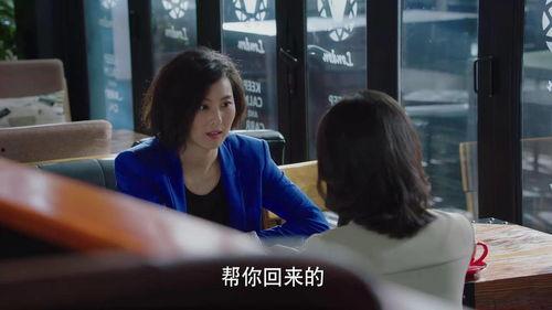 我的前半生电视剧全集免费观看,人生转折点，免费解锁全集