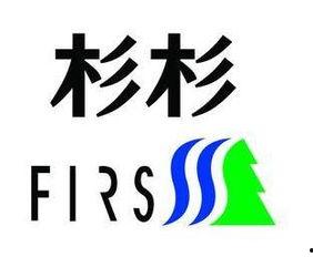 杉杉股份,绿色能源领域的领军者，创新驱动发展新篇章