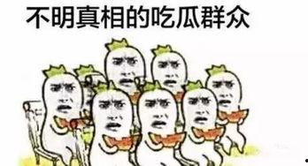 吃瓜群众今日吃瓜,吃瓜群众热议焦点大盘点