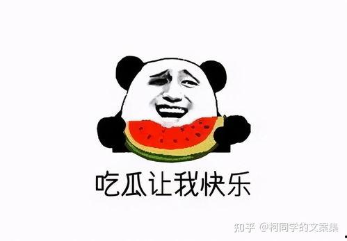 吃瓜群众今日吃瓜,吃瓜群众热议焦点大盘点