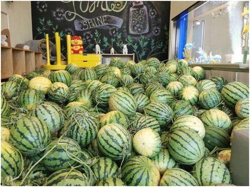 瓜姊今日吃瓜,揭秘娱乐圈最新热点事件