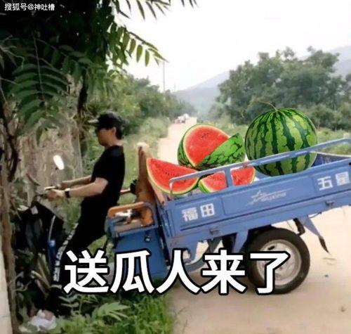 今日吃瓜最新吃瓜视频,最新视频深度解析