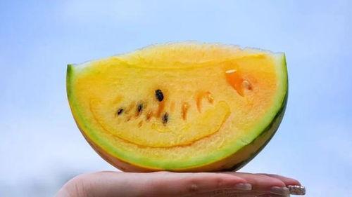 今日吃瓜必吃瓜图片,揭秘吃瓜必看瓜图背后的故事