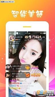 看片看直播的APP苹果,看片看直播，畅享视听盛宴