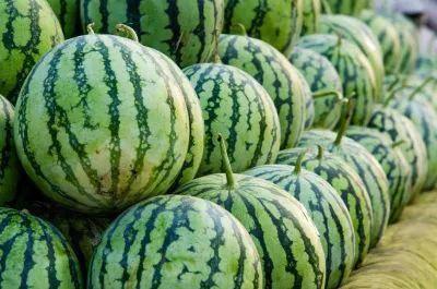 全国各地吃瓜爆料资源群,揭秘各地吃瓜爆料资源群