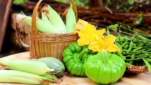 全国各地吃瓜爆料资源群,揭秘各地吃瓜爆料资源群