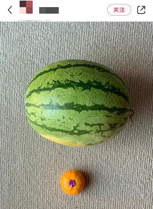 今日吃瓜51吃瓜全网,全网热点事件大盘点