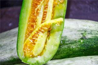 网红语言吃瓜,揭秘网红圈那些吃瓜背后的故事