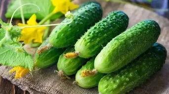 吃瓜爆料每日吃瓜,揭秘娱乐圈幕后故事