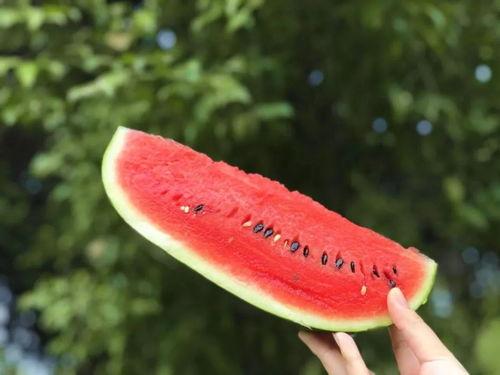 在线吃瓜今日吃瓜,揭秘网络热点背后的真相