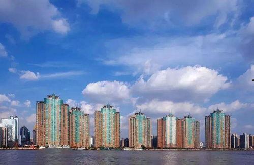 吃瓜网 世贸滨江,繁华都市中的绿意盎然美食天堂