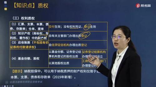 专属权,法律保护下的知识产权奥秘